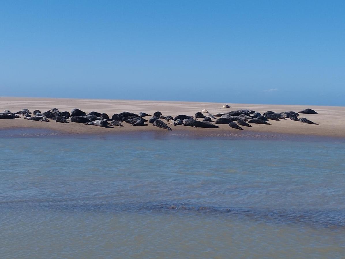 Le Gite De La Salicorne Marck Exteriér fotografie